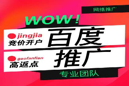 百度竞价排名实战：关键词优化与落地页优化案例